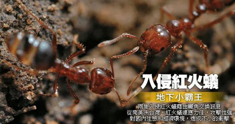 副本4.jpg