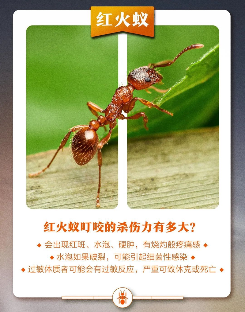 副本6.jpg