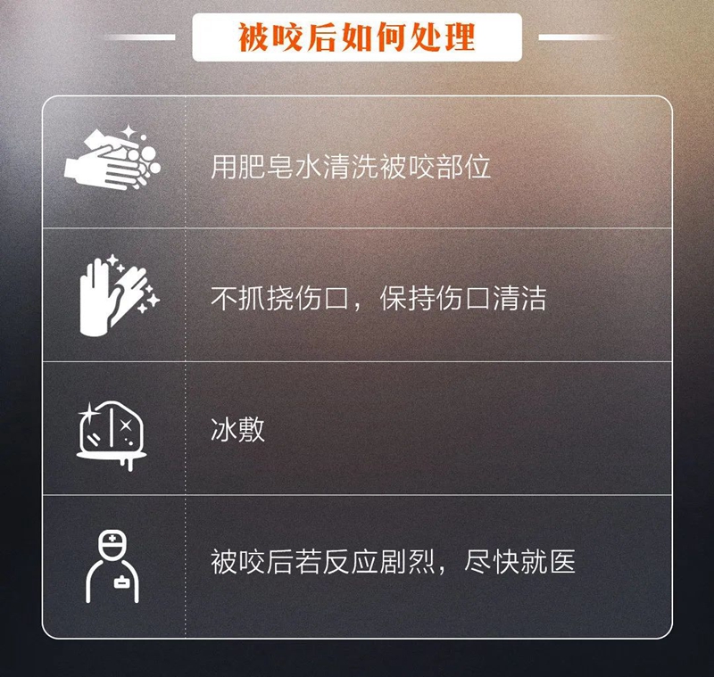 副本7.jpg