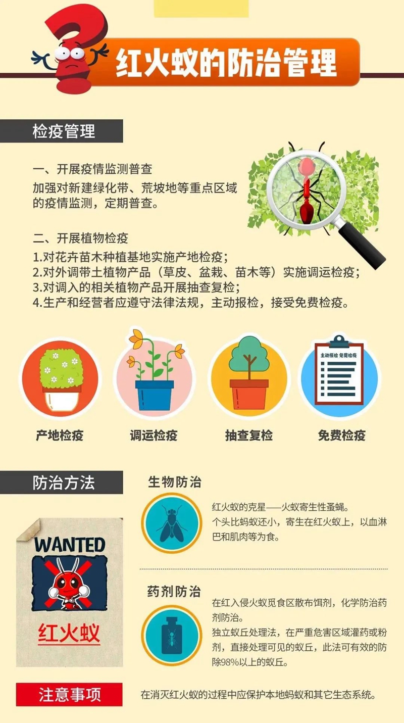 副本8.jpg