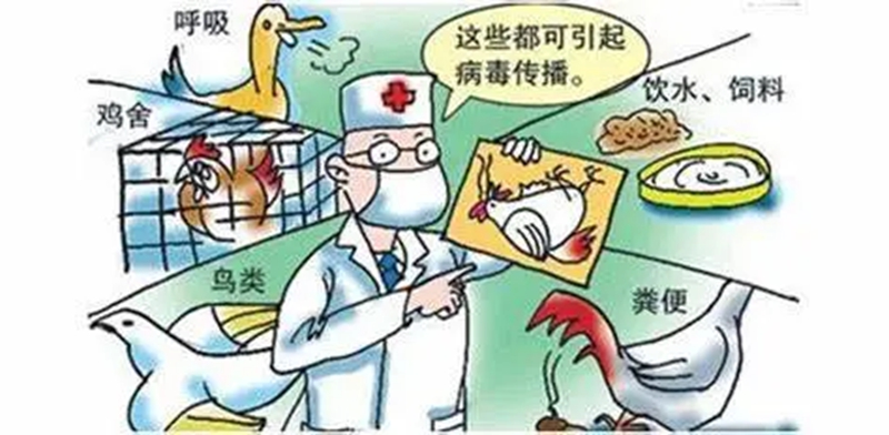 3_副本.jpg