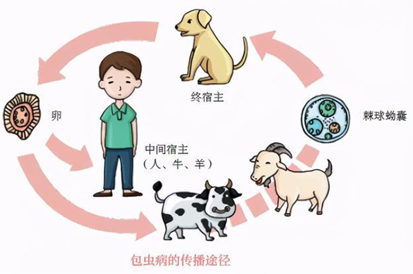 5_副本.png