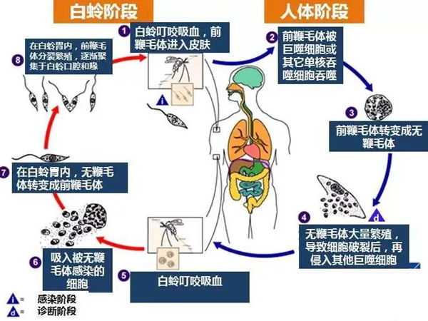 6_副本.jpg