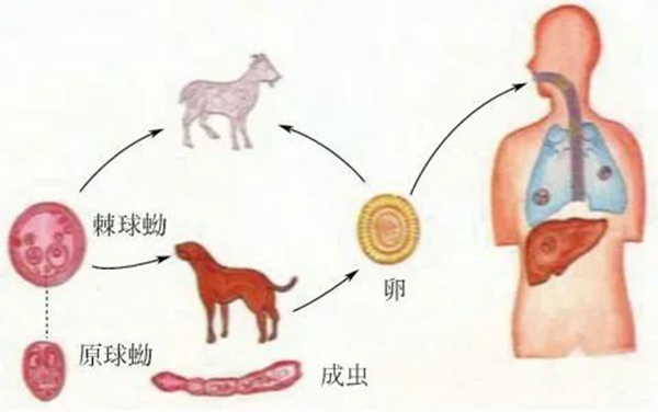 12_副本.jpg