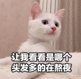 7.png