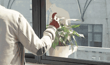 1747481335436881.gif 77.gif