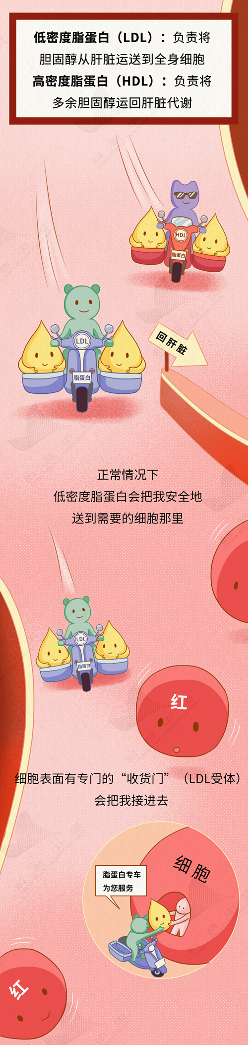3_副本.png