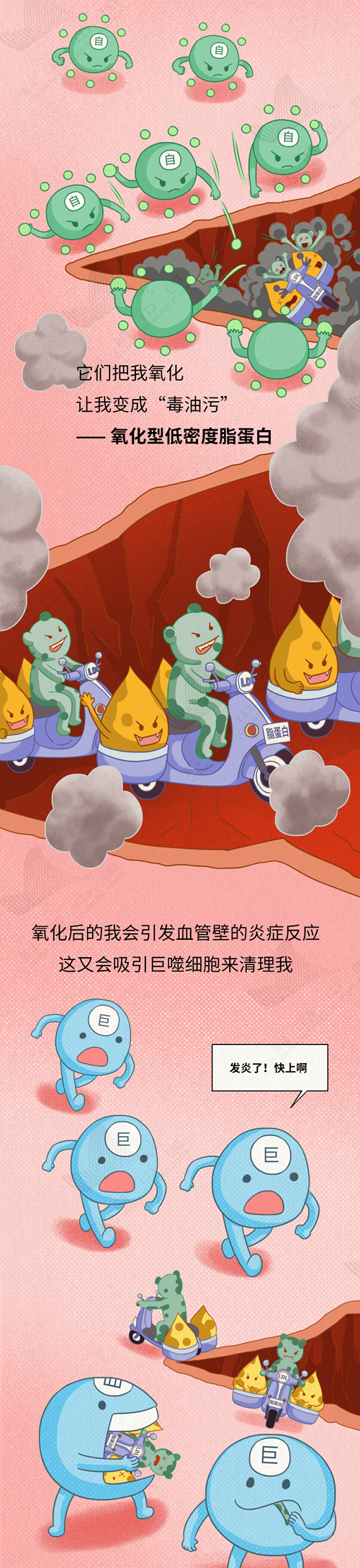 5_副本.png