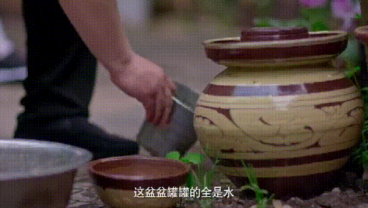13.gif