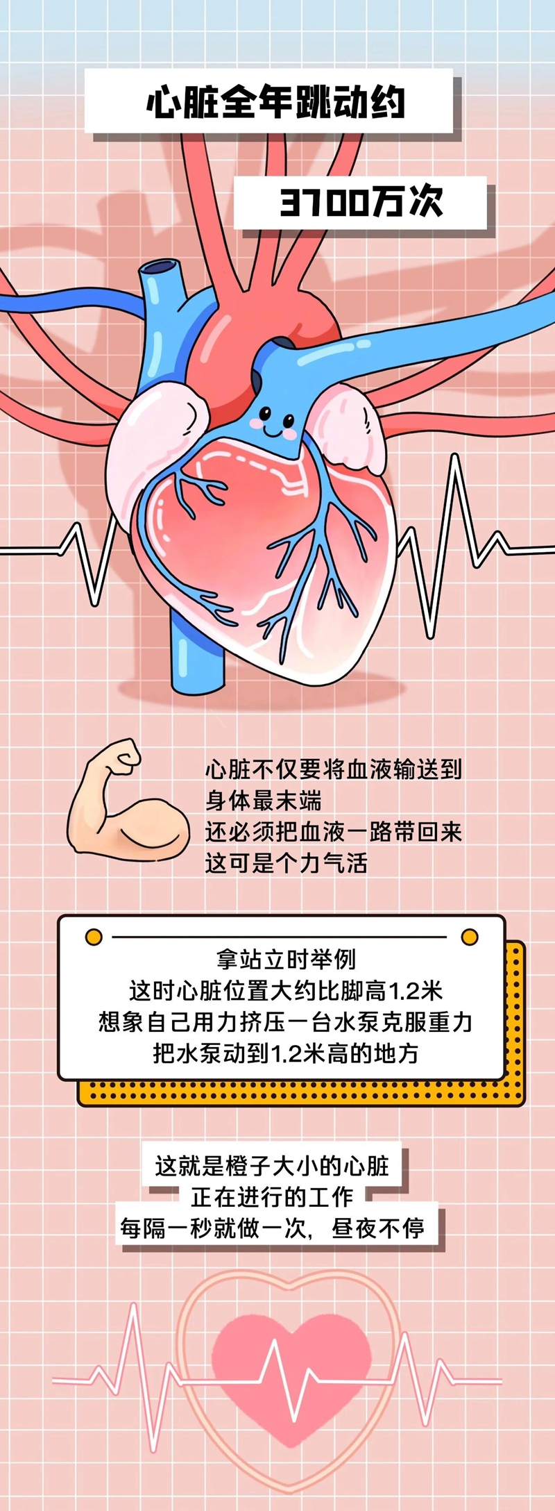 1767141923304679.jpg 4.jpg