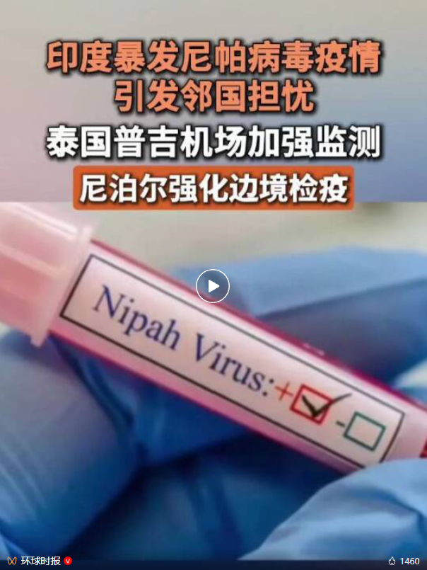 1769396679602249.png 333.png