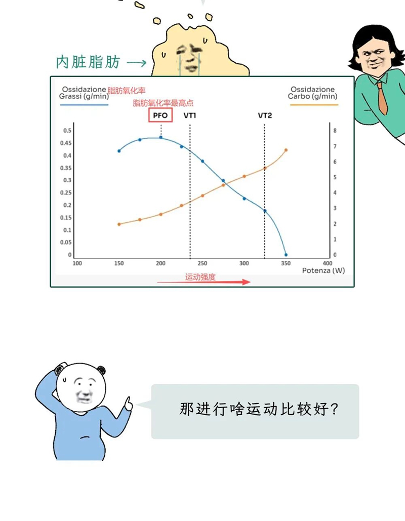 1773622224661014.jpg 10.jpg