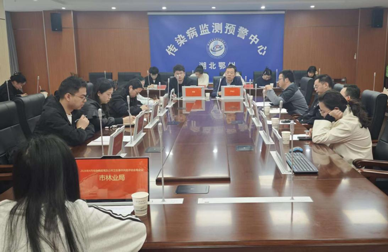 1775205612408866.png 图片12.png